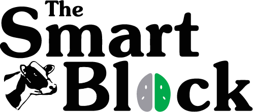Smart Block Logo
