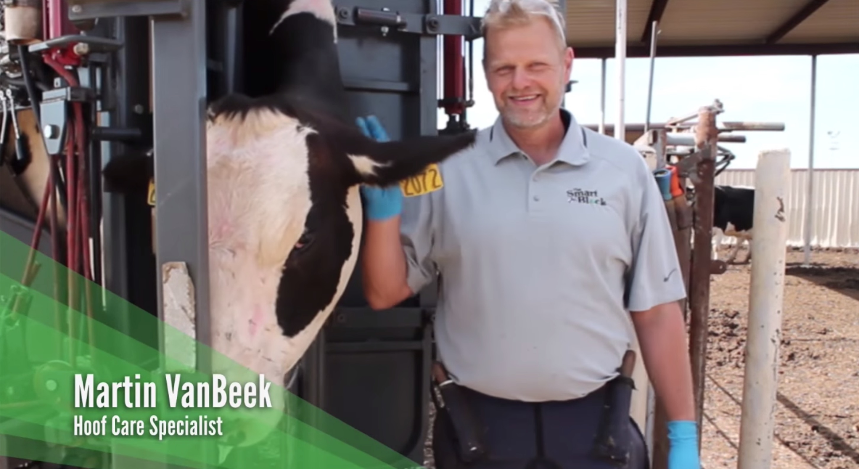 Martin VanBeek standing next to a dairy cow